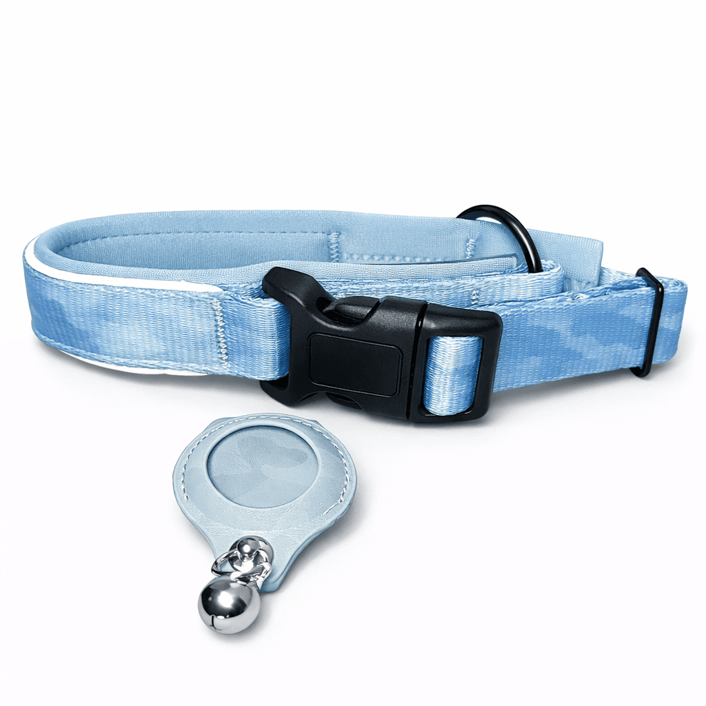Marshee smart dog collar lifestyle view