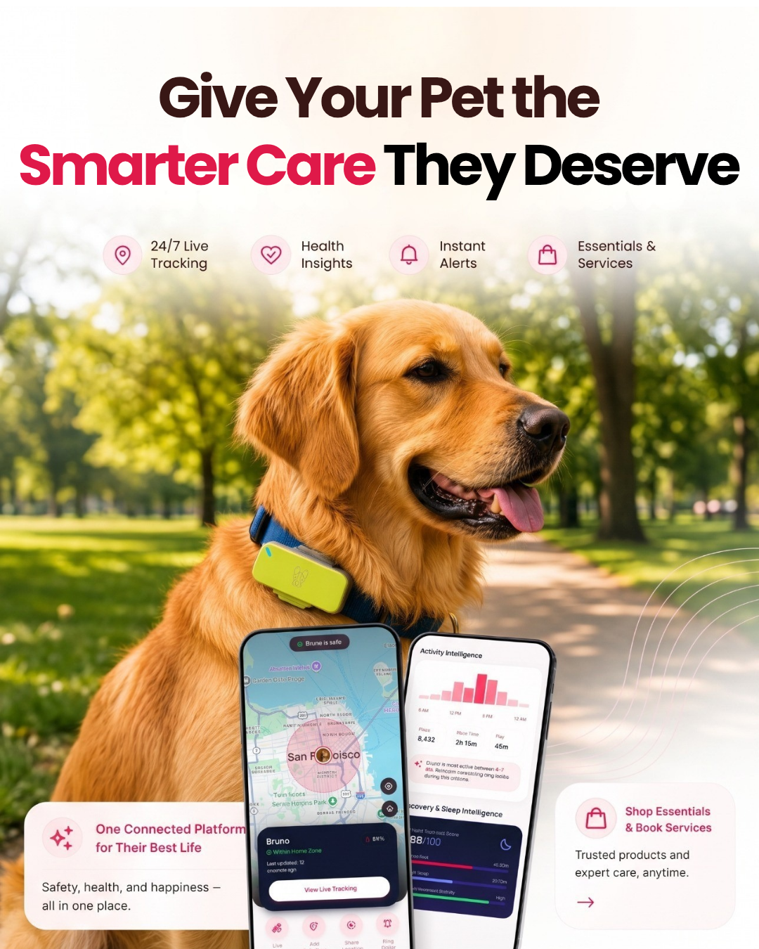 Marshee smart pet collar with 24/7 live tracking, health insights and instant alerts in the Marshee app