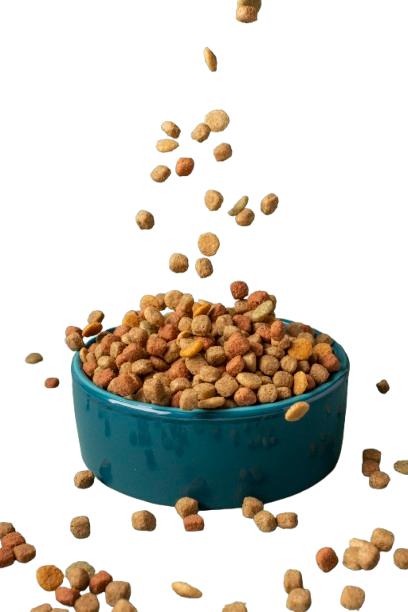 Pet Food & Nutrition